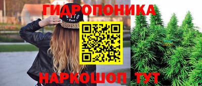гидра Кунгур